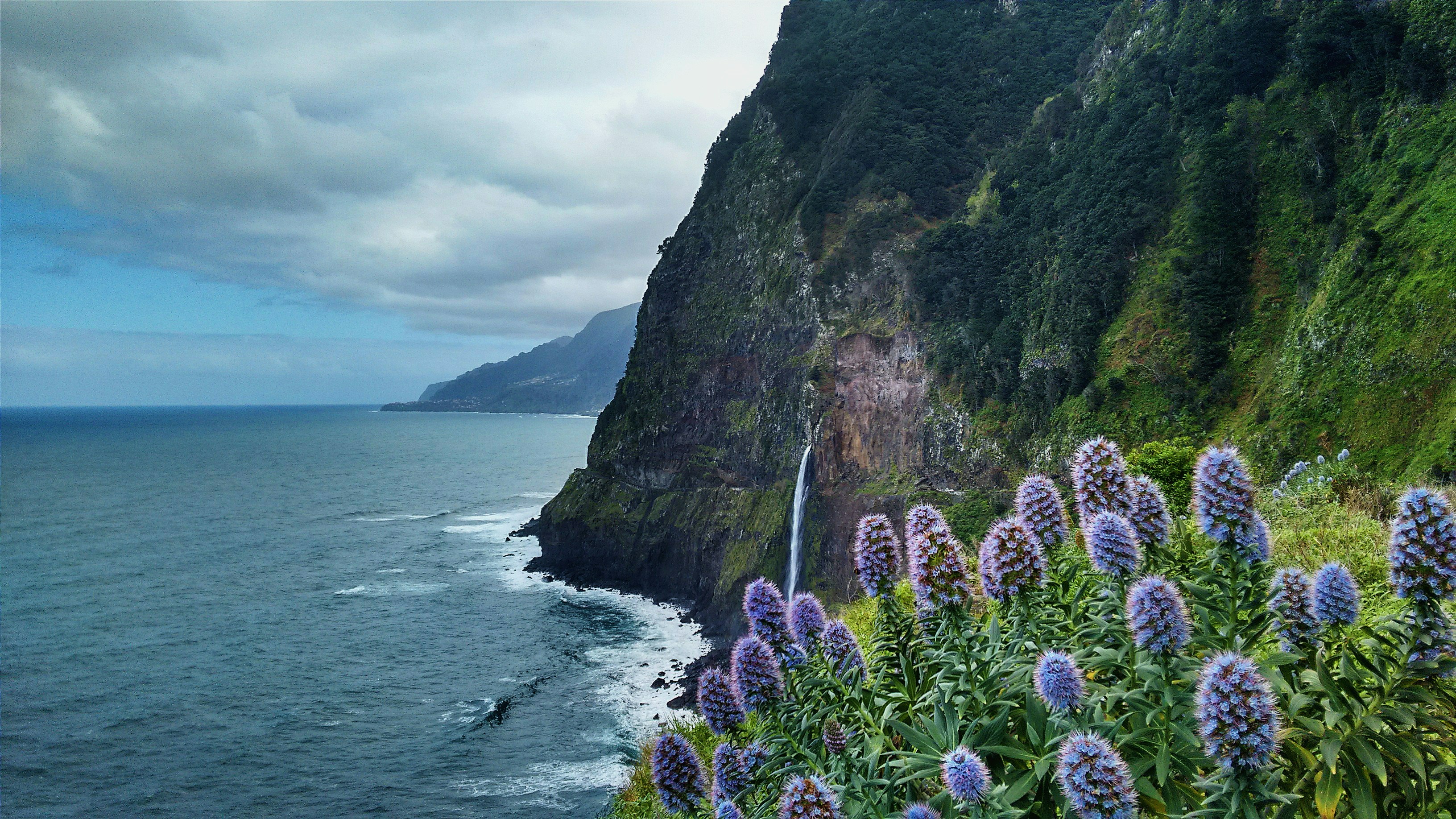 seashore near rocky mountain